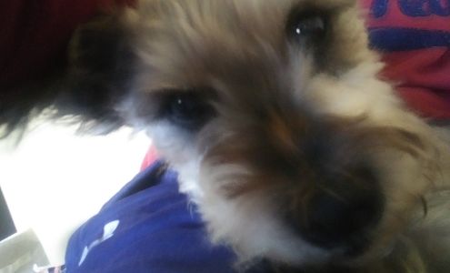 Self Storage By Blair Realty Blairsville