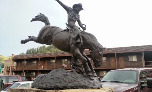 Karens Delivery Co Black Hawk