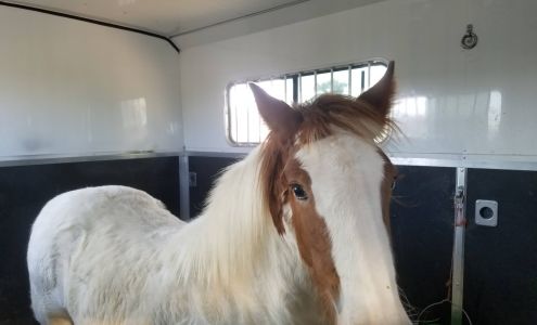 Three D Transport LLC Newdale