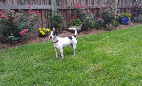 Big Toy Storage Southport