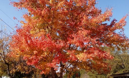 Southern Self Storage