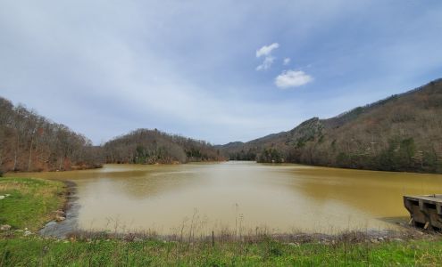 Stone Mountain Boat Dock Cawood