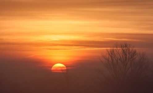 Williams Express Inc