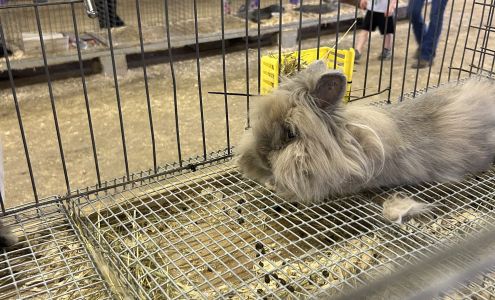 Lake Arthur Self Storage Prospect