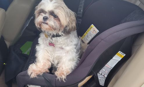 Sno-White's Coin Laundry