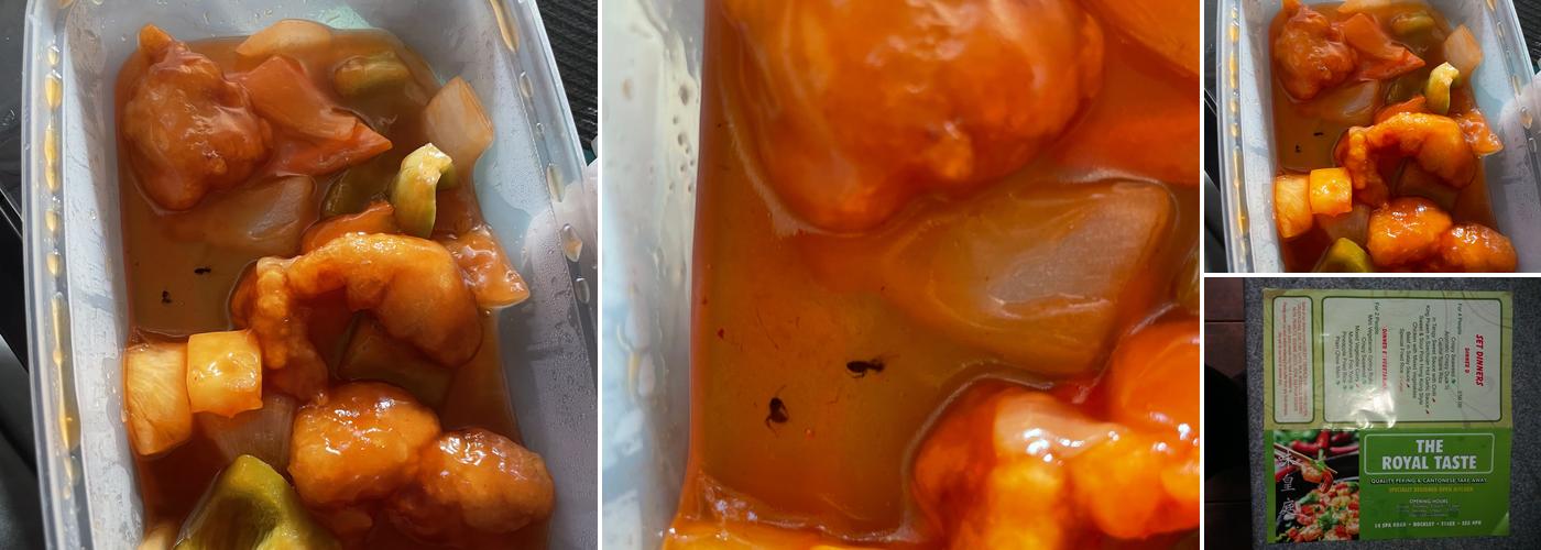 The Royal Taste Hockley