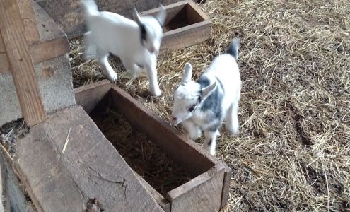 Quality Plus Mobile Home Spec