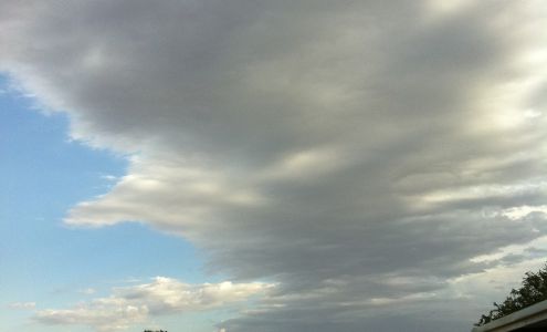 Miss Bonnie's PDQ Escort Service LLC