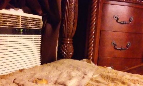 Clinton Marks Trucking Chidester