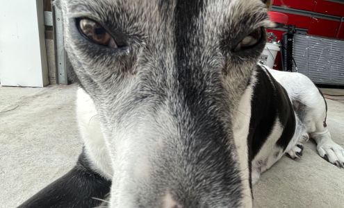 First Class Relocation