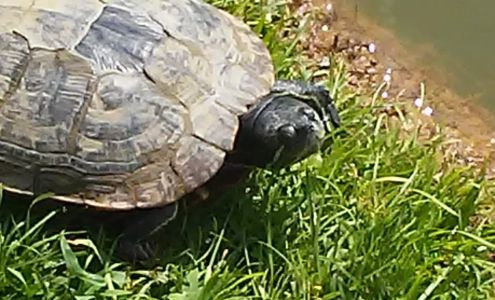 Mc Kinney's Mini Storage Granite Quarry