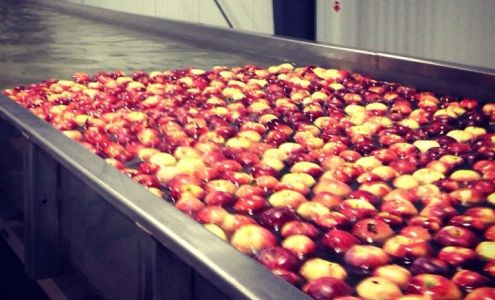 Sun Orchard Fruit Co Burt