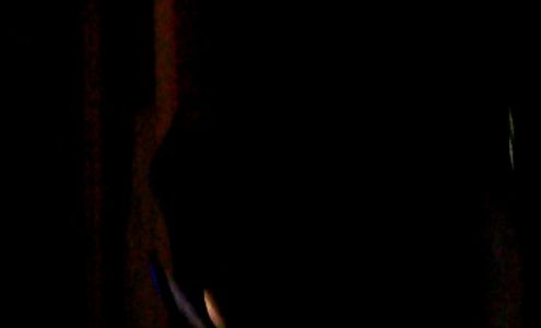 H L Johnson Trucking Edison