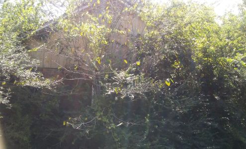 Bowden Trucking Gallion