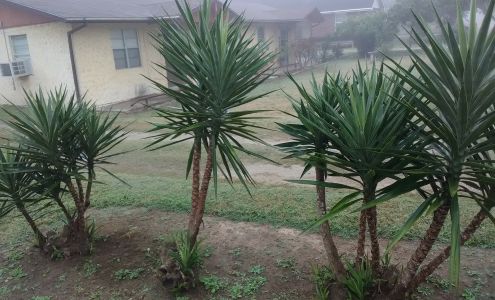 Ramey Inc Rio Grande City