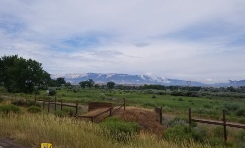 Winchester Gardens Rifle