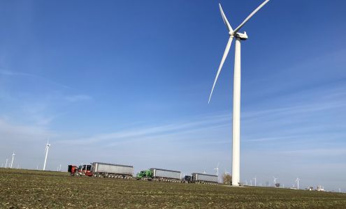 Buchholz Transport Inc Pigeon