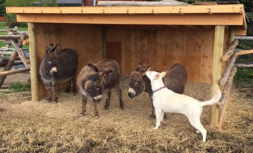 Duffel Donkey LLC Jackson