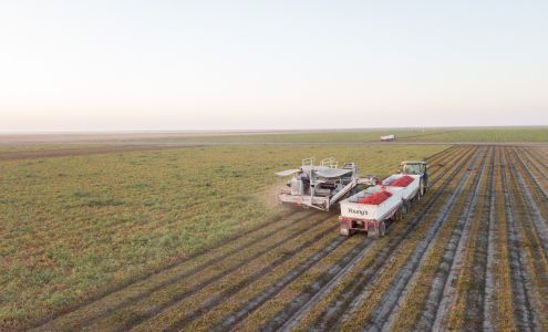 Young's Commercial Transfer Tipton