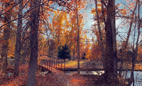 Pinnacle Peak Storage Anaconda