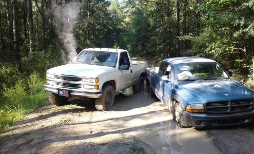 Williams & Sons Transport Calvary