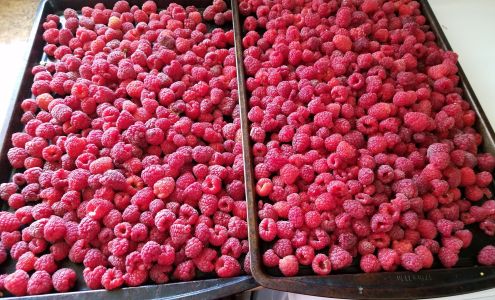 Farm To Market LaCrosse