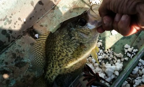 Malone Trucking Inc Dow City