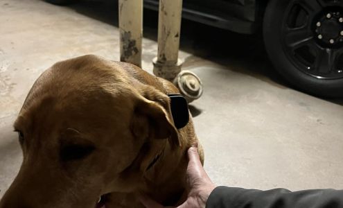 Community Correction Office Crystal Falls