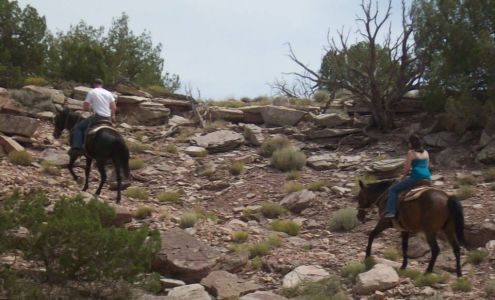 Box Canyon Ranch Geyser