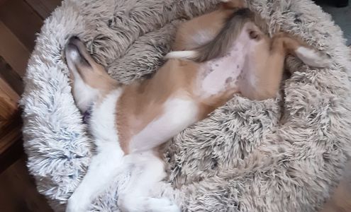 Riverside Mini-Storage Guernsey