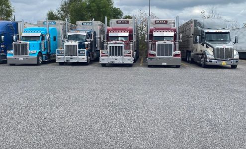 BGL Livestock Trucking LLC Inwood