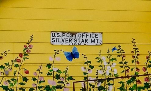 United States Postal Service Silver Star