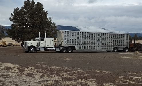 Roelfs Transfer, Inc Diller