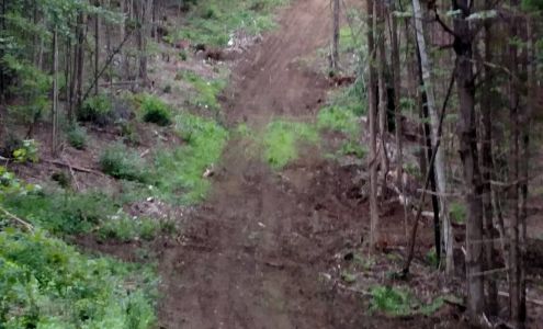 Rocky Bunnell Logging & Forest