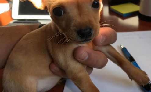 B & B Self Storage La Junta