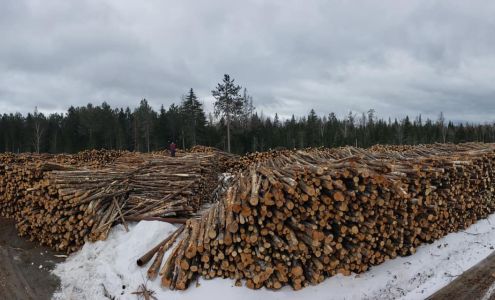 R C Mc Lucas Trucking