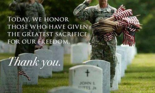 TDR Transport Brockton