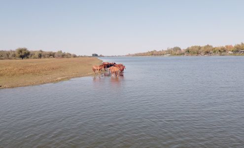 United States Postal Service