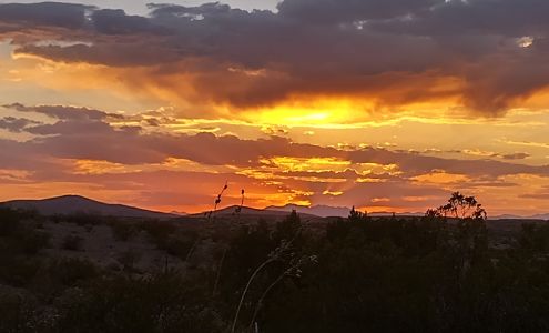 Storage Shed Truth or Consequences