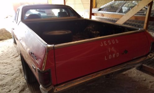 Anton's Marine Elephant Butte