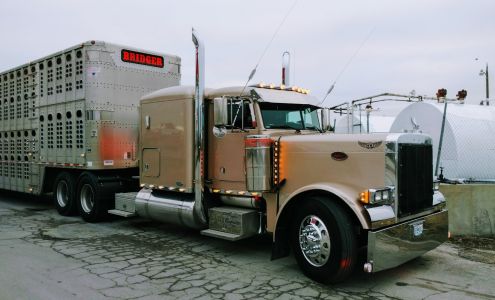 B-Line Express LLC. New Hampton