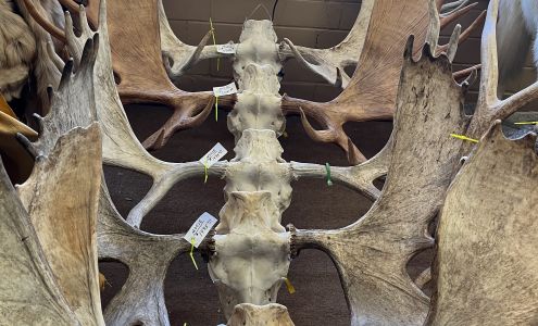 U-Haul Neighborhood Dealer