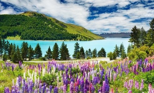 Royal Gorge Truck & RV- Canon City