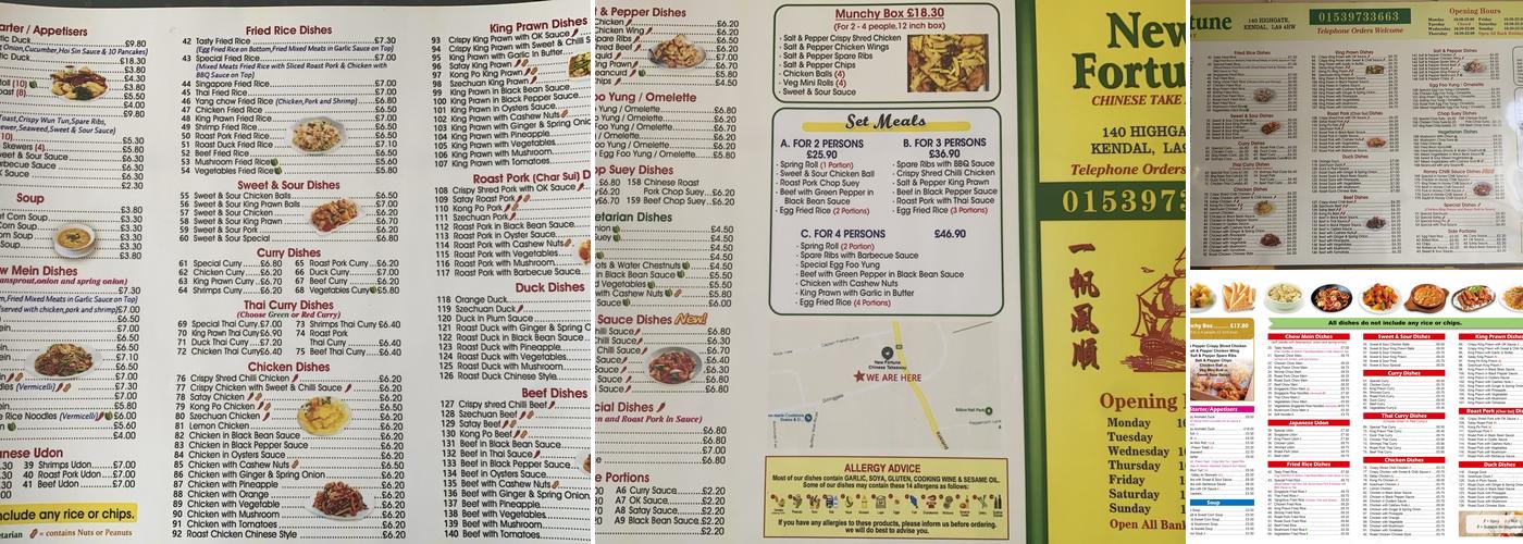 New Fortune Chinese Takeaway Menu