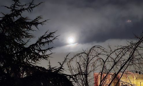 Ted & Al's Services Inc