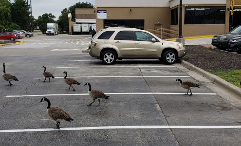 Sam's Club Tire & Battery