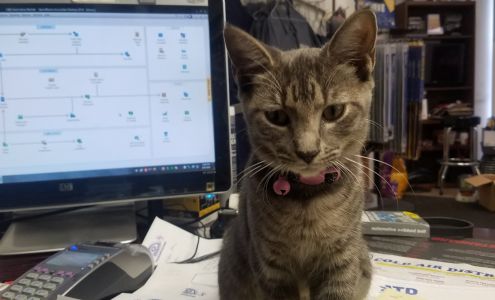 C & D Automotive Repairs Inc