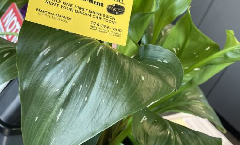 AAA Auto Rental/ U Can Rent Auto Rental