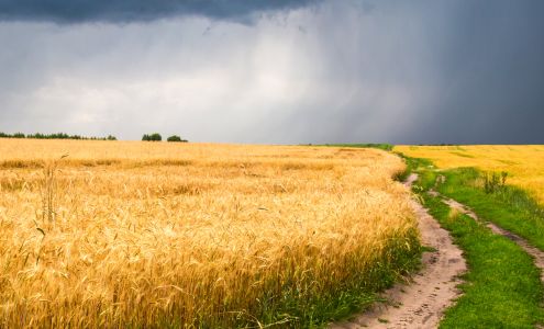 Triple L Tire Highland