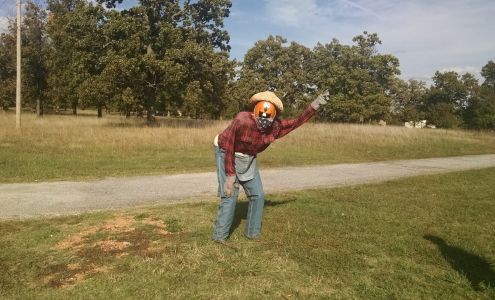 Buy-Rite Motor Co Grove